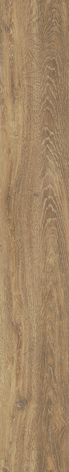 Mflor 46415 Authentic Parva Oak XL Apulia 25-05