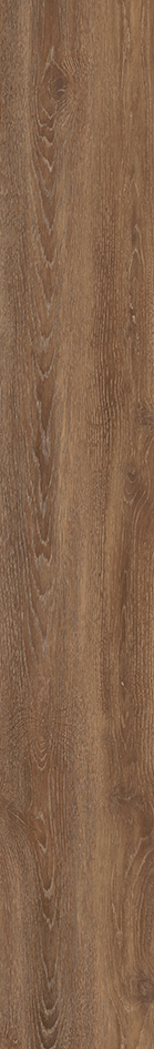 Mflor 56316 Authentic Oak XL Liguria 25-05