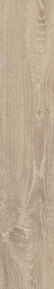 Mflor 41219 Parva Oak Sardinia 25-05